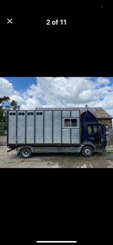 Horse box lorry mercedes - lorry,