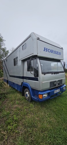 Man tonne horse - tonne, box